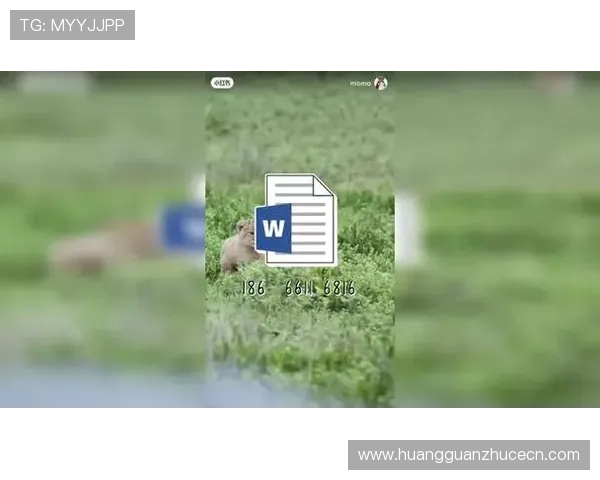 皇冠管理网登录入口官方网址及入口更新最新指南详细介绍